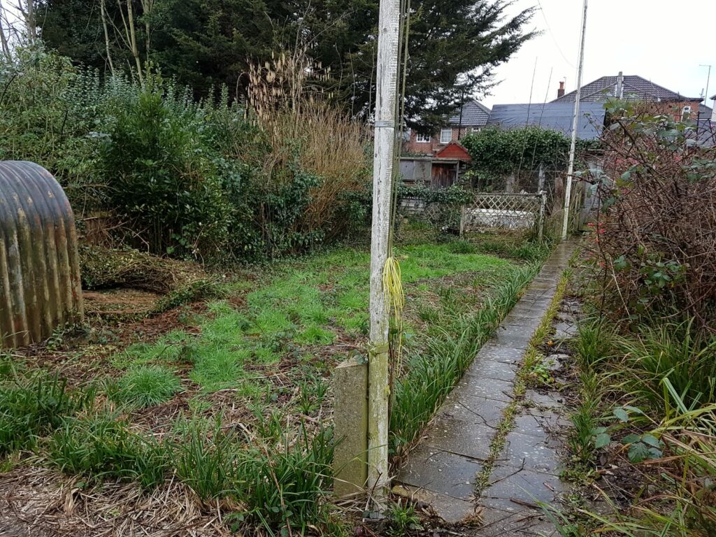 The overgrown back garden