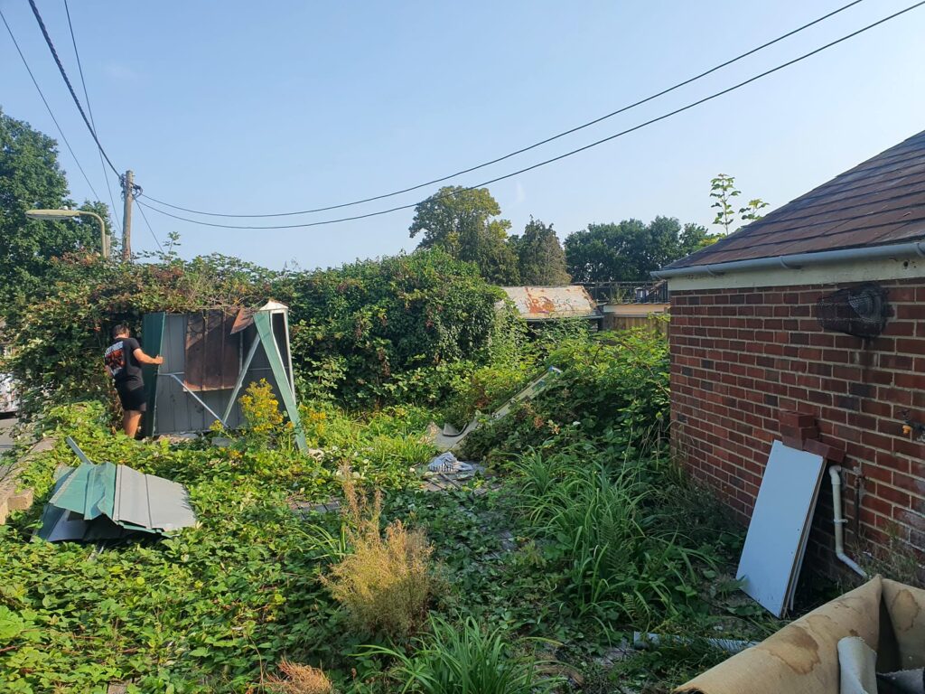 Project story: renovating a tired house, from extension rebuild to finished home The overgrown garden before we started